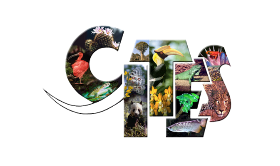 Logo CITES